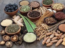 Ayurveda – age old sustainable practice